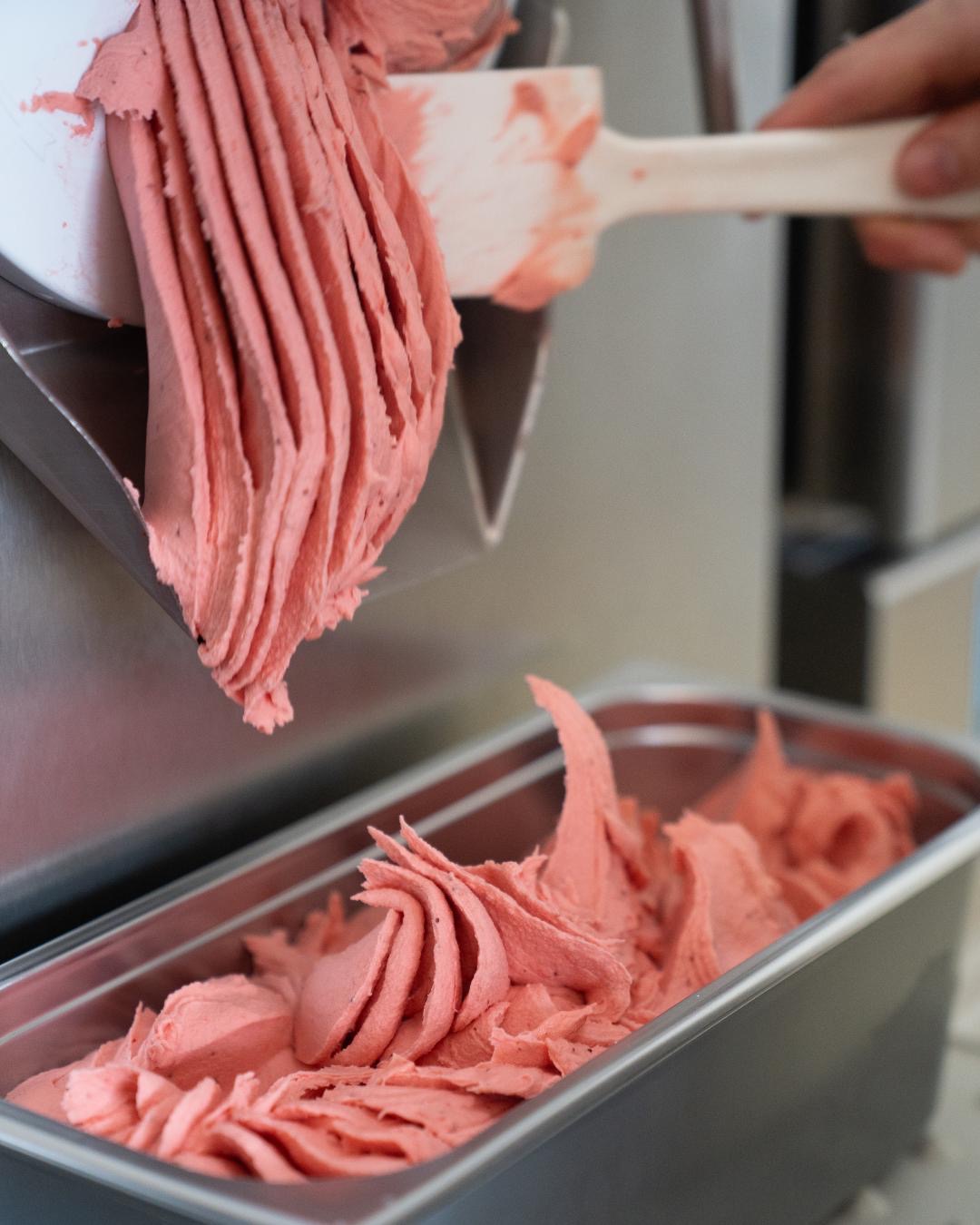 Frisches Erdbeergelato aus der Eismanufaktur